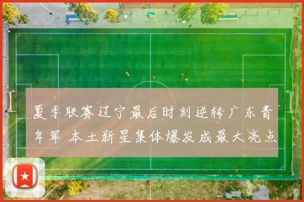 夏季联赛辽宁最后时刻逆转广东青年军 本土新星集体爆发成最大亮点