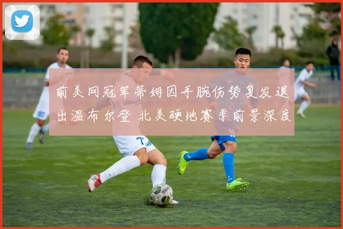 前美网冠军蒂姆因手腕伤势复发退出温布尔登 北美硬地赛季前景深度解析