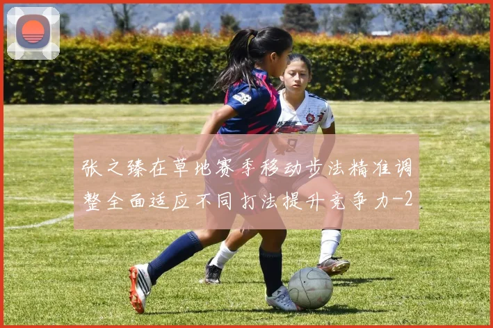 张之臻在草地赛季移动步法精准调整全面适应不同打法提升竞争力