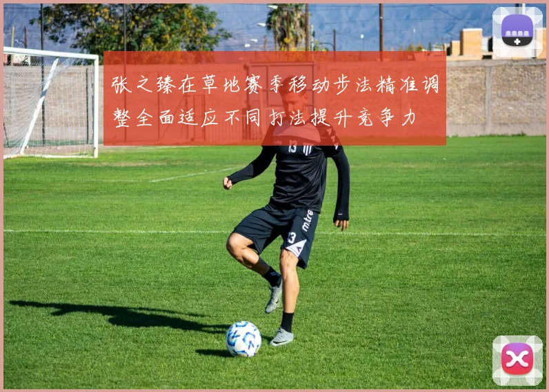 张之臻在草地赛季移动步法精准调整全面适应不同打法提升竞争力