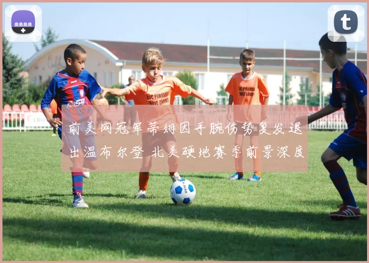 前美网冠军蒂姆因手腕伤势复发退出温布尔登 北美硬地赛季前景深度解析