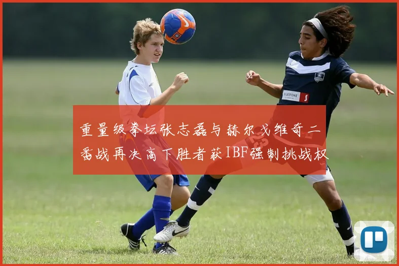重量级拳坛张志磊与赫尔戈维奇二番战再决高下胜者获IBF强制挑战权