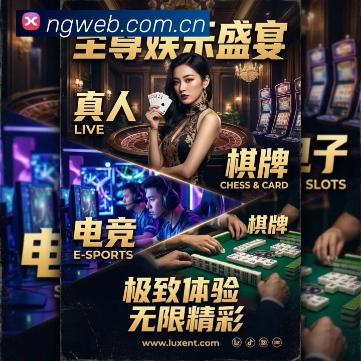 未来规划